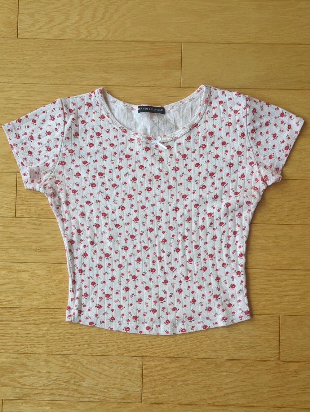 Brandy Melville Red Floral Crop Top